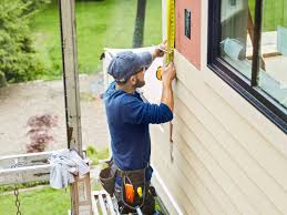 Best Custom Trim and Detailing for Siding  in Johnston City, IL